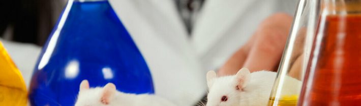 Sú Slováci pokusné myši v rámci experimentu s celoplošným testovaním? JUDr. Ján Drgonec, DrSc. aj právnička Mgr. Judita Laššáková  majú dôkazy!