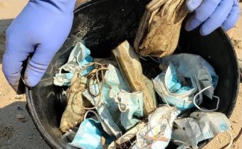 „Více roušek než medúz“: Znečištění kvůli rouškám ničí ekosystémy oceánů a divokou přírodu