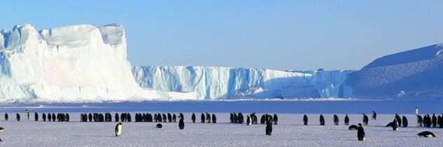 V Antarktíde uviazla skupina bulharských polárnikov. Majú obmedzené zásoby jedla i paliva