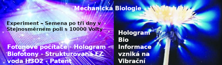Fotonové počítače – Hologram – Biofotony – Strukturovaná EZ voda H3O2 – Patent EPO351357B1 – Akustické a elektromagnetické vzory – Mechanická Biologie
