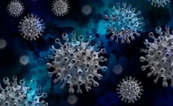 Čína odmítla plány WHO na další vyšetřování původu koronaviru.