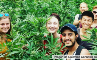 Kolumbia chce ročne exportovať marihuanu v hodnote 6 miliárd dolárov
