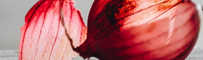 O loupání cibule aneb Důležitá nejsou slova, ale činy