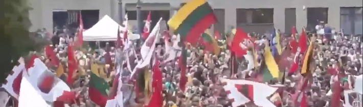 Litovci protestujú na podporu nezaočkovaných občanov