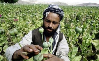 Americký Deep State přišel o obrovské zisky z prodeje drog, kvůli kterým okupoval Afghánistán. Podívejte se, jak se za okupace rozrostla pěstební plocha opiového máku