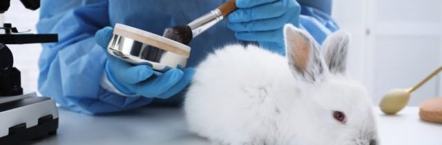 Testovanie kozmetiky na zvieratách by mohlo dostať stopku, spúšťa sa celoeurópska petícia
