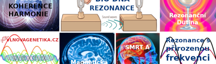 Rezonance – Rezonanční Dutina – Zbraně – Vibrace Buněk – Exploze Kostí a Orgánů – Cirkadiánní Rezonanční Frekvence