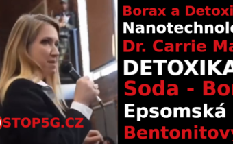 Detoxikace Nanotechnologie Pomocí Boraxu – Dr. Carrie Madej
