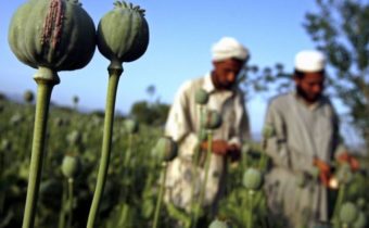 Taliban zakázal pestovanie ópiového maku a výrobu drog