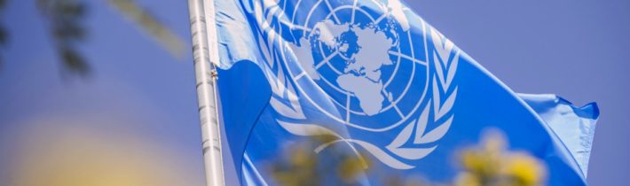OSN není neschopná, je jen stejná jako svět sám |