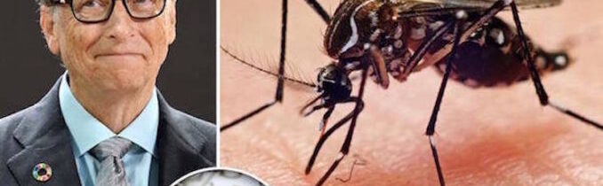 Komáři v USA testování pozitivně na vzácné smrtelné viry měsíce poté, co je Bill Gates vypustil do volné přírody (VIDEO)