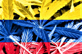 Nový kolumbijský prezident navrhuje legalizaci konopí