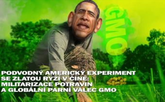 Podvodný americký experiment se zlatou rýží v Číně: Militarizace potravin a globální parní válec GMO