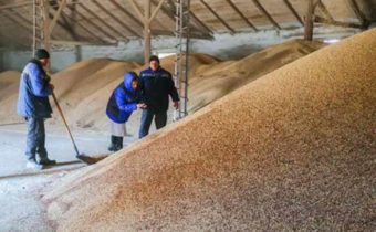 Rusko sa vrátilo k dohode o obilí, ale s veľmi dôležitou výhradou