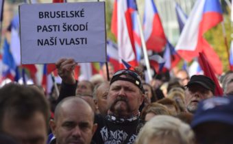 Nikola Bornová: Je už proti vládní mafii většina Čechů?