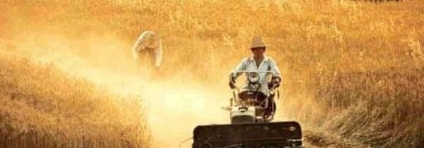 Nekorektní TOP-CZ – nejnovější informace z domova i ze světa