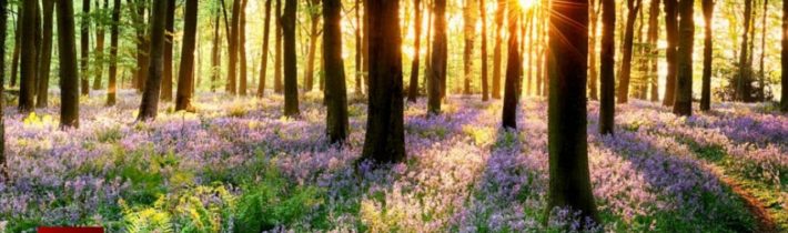 Dopoludnie na InfoVojne s Adrianom 21.3.2023