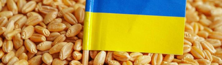 MO RF: Munice s ochuzeným uranem znemožní vývoz zemědělských produktů z Ukrajiny na desetiletí