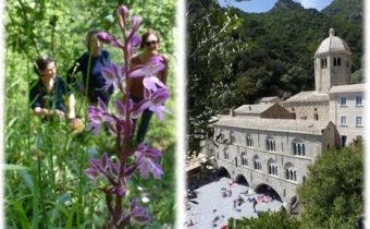 Jan Moravec: Parco di Portofino a mezinárodní projekt na ochranu orchidejí… (ČSOP, DOP 22.2.2023)