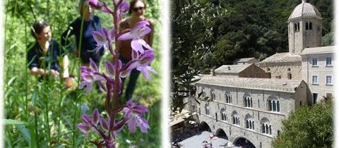 Jan Moravec: Parco di Portofino a mezinárodní projekt na ochranu orchidejí… (ČSOP, DOP 22.2.2023)