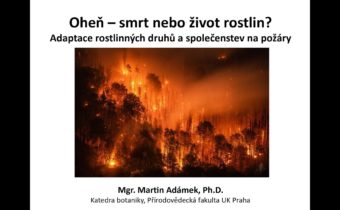 Pokroky v biologii 2023 (4.2) Martin Adámek: Oheň – smrt nebo život rostlin? (PřF UK 18.2.2023)