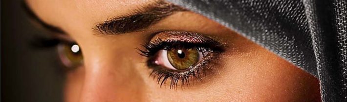 Istanbulská úmluva je zpět |