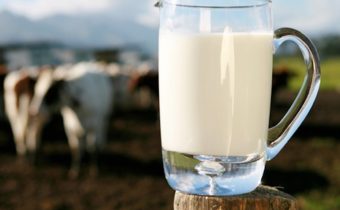 VRAŽEDNÉ „VAKCÍNY“ V JEDLE: Bola vyvinutá orálna mRNA vakcína nachádzajúca sa v kravskom mlieku