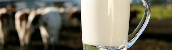 VRAŽEDNÉ „VAKCÍNY“ V JEDLE: Bola vyvinutá orálna mRNA vakcína nachádzajúca sa v kravskom mlieku