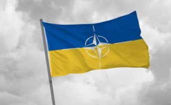 Ukrajina na summite Severoatlantickej aliancie vo Vilniuse nedostane istotu členstva v NATO. Členské štáty sa obávajú, že prijatím Ukrajiny by sa stali priamym účastníkom vojny