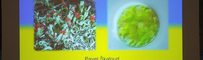Pokroky v biologii 2022 (4.3) Pavel Škaloud: Partnerský život symbiontů: výprava…(PřF UK 5.3.2022)