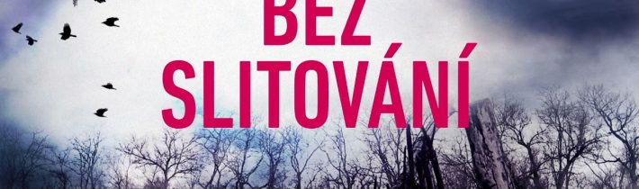 Tim Weaver – Bez slitování | Audiokniha