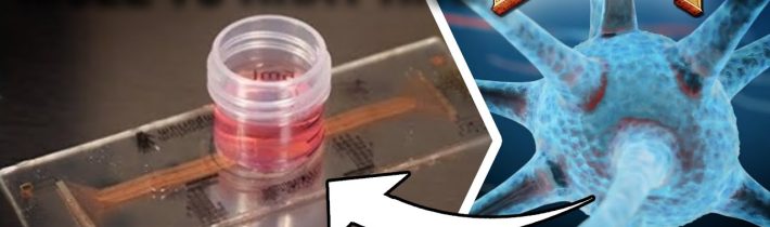 Mohou Krysí Neurony Hrát Hru DOOM ?!