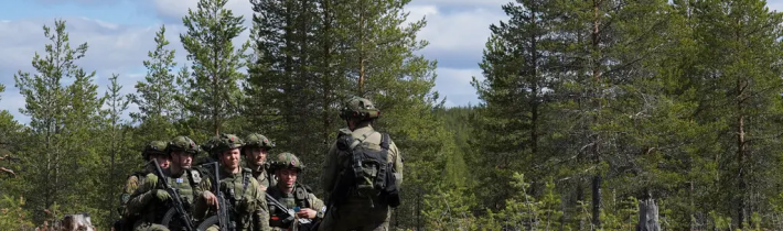 The New York Times: Fíni sú z NATO rozčarovaní