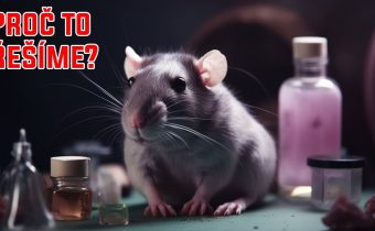 Velká Británie obnovuje kosmetické testy na zvířatech – Proč to řešíme? #1637