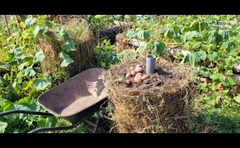 Potravinová soběstačnost – Sklizeň z bramborových věží