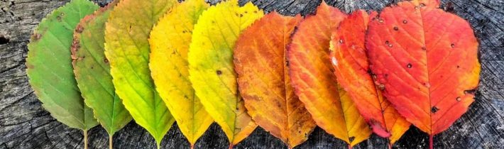 Dopoludnie na InfoVojne s Adrianom 10.10.2023