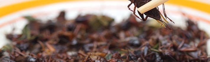 Klimatická agenda je trojským koněm pro zničení potravinářství, nanucené jedení hmyzu a zavedení tyranie – INFOKURÝR