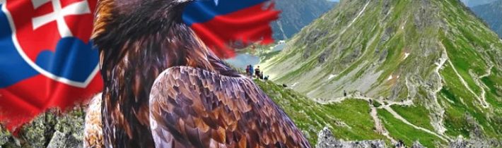 ZRADNÝCH KRÝS VYPÁĽTE HNIEZDA! » Belobog