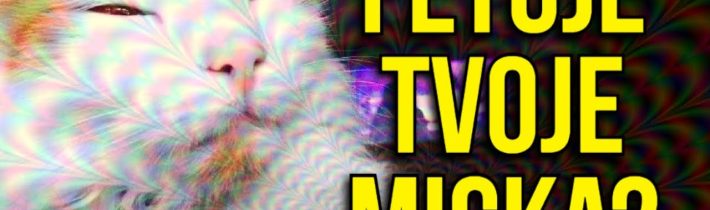 JAKÉ DROGY BEROU ZVÍŘATA?