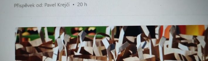 „Profesionální novináři, všude cpete angličtinu, ale správně česky už umíte málokdo. Probuďte se…