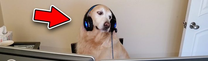 TOP 4 TECHNOLOGIE, KTERÉ MOHOU VYUŽÍVAT I ZVÍŘATA