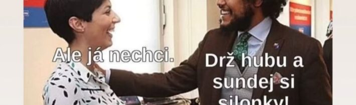 Feri balí Pekarovou aneb Trocha humoru ještě nikoho nezabilo