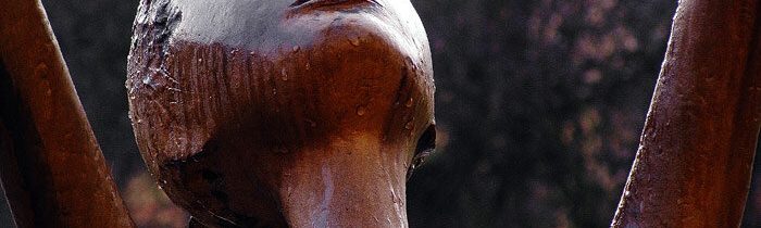 W. B. Yeats: Pamäť » Belobog