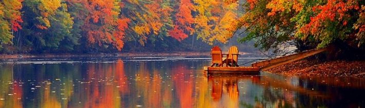 Dopoludnie na InfoVojne s Adrianom 28.11.2023