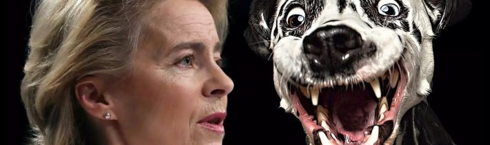 V evropském parlamentu na proslov předsedkyně komise Ursuli von der Leyen nečekaně reagoval pes