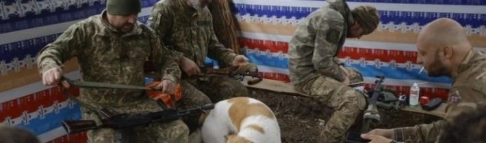 McGregor: Zveřejněná hrůzná data: Počet mrtvých Ukrajinců je strašný!