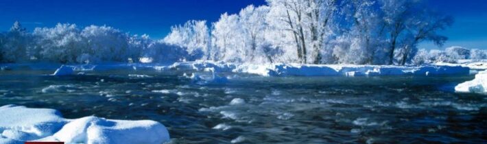 Dopoludnie na InfoVojne s Adrianom 29.1.2024