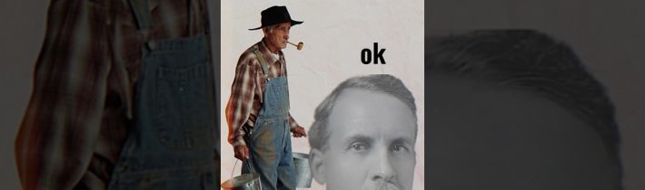 Země která prohrála válku proti ptákům
