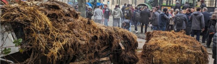 Začalo globálne povstanie roľníkov? Roľníci, sedliaci a post-sedliaci – odveký predmet nenávisti pokrokovej a liberálnej elity – sa búria po celom svete