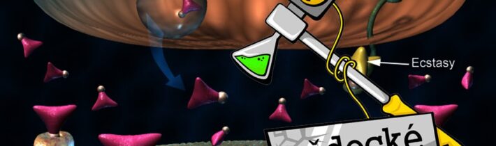 Co jsou to hormony? – Vědecké kladivo AK 17